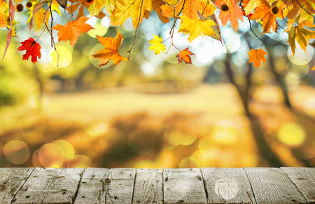 Wooden table with orange leaves autumn background