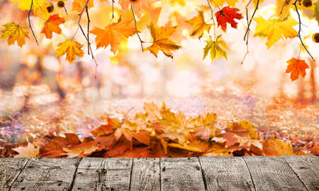 Wooden table with orange leaves autumn background