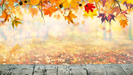 Wooden table with orange leaves autumn backgroundの写真素材
