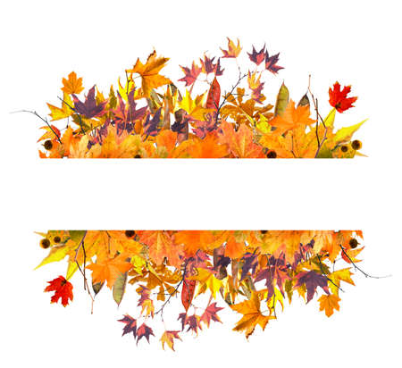 autumn leaves frame and branches isolated on white background