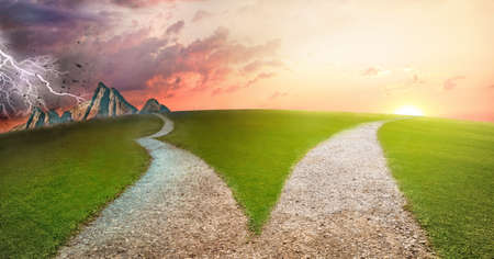 fork in the road choice conceptの写真素材
