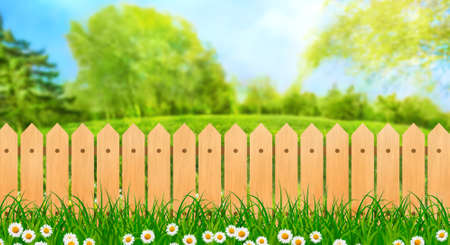 Green field landscape from backyard with daisy flowers and wooden picket fence, illustrationの写真素材