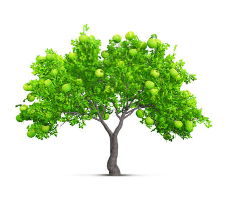 green apple tree isolated 3D illustrationの写真素材