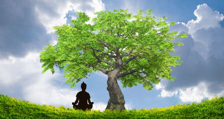 Silhouette of person meditating under the tree, yoga and zen conceptの写真素材