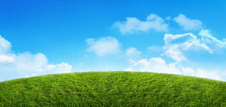 spring green grass field landscape and blue sky backgroundの写真素材