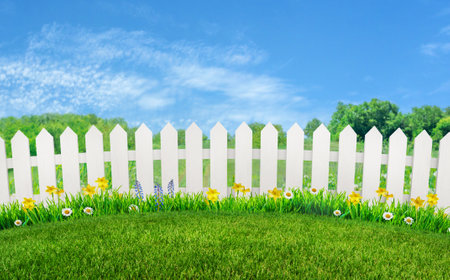 green grass and flowers at backyard and garden, rural landscapeの写真素材