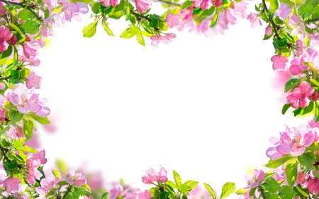 spring flowers background, pink blossoms branches isolatedの写真素材