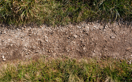 trail with small gravel and grassの写真素材