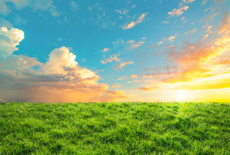green grass field landscape and sunset skyの写真素材
