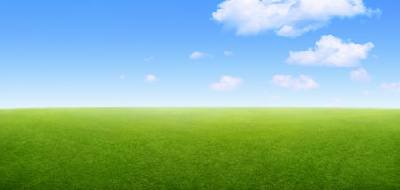 green grass field landscape and blue sky backgroundの写真素材