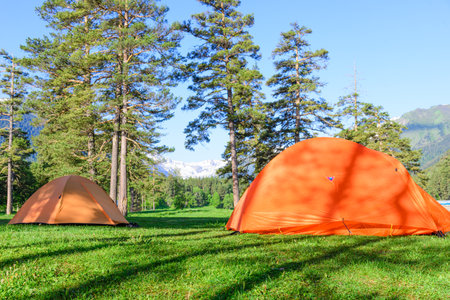 camping on campground in forest with tentsの写真素材