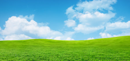 Field with grass and blue sky. Beautiful spring summer panoramic natural landscapeの写真素材