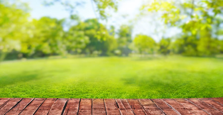 green grass blurred background with sun rays in park meadow and wooden floorの写真素材