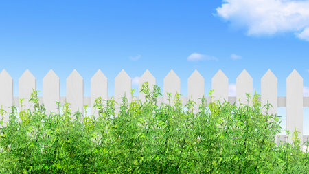 white wooden fence and green bamboo bush isolated,3D illustrationの写真素材