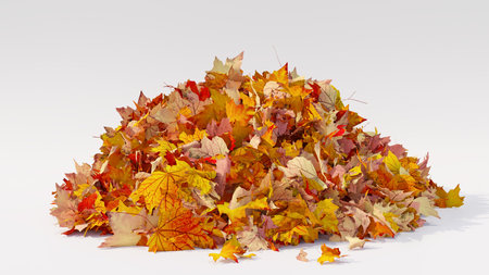 Pile of autumn colored leaves on white background. Colorful foliage of maple leaves in the fall season. 3D illustrationの写真素材