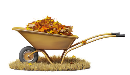 garden wheelbarrow with autumn leaves isolated on white background, 3d illustrationの写真素材