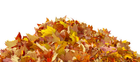 Pile of autumn colored leaves isolated on white background. Colorful foliage of maple leaves in the fall season. 3D illustrationの写真素材