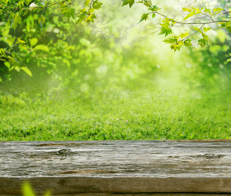 wooden table and blurred spring landscape background with tree branches and grassの写真素材