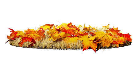 autumn leaves background isolated on white, 3d illustrationの写真素材