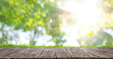 wooden table and blurred summer park landscape background with morning sunの写真素材