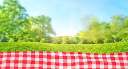 outdoors picnic in sunny day on grass of lawn in summer parkの写真素材