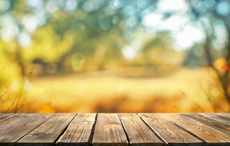 fall  leaves and old wooden board, autumn natural backgroundの写真素材
