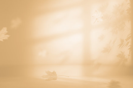 Minimalistic Fall scene in cream color shades. Autumn background with shadow of maple tree leaves on...