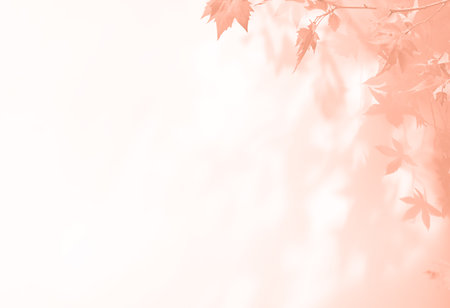 abstract autumnal fall scene in cream color shades. Autumn texture background with shadow of maple...