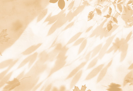 abstract autumnal fall scene in cream color shades. Autumn texture background with shadow of maple tree leaves on a wall.の写真素材