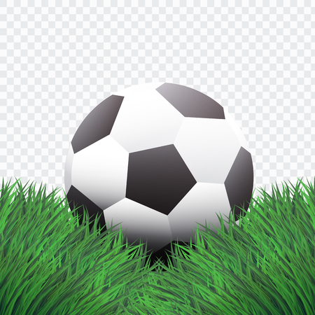 Realistic Style,Classic Football or Soccer on Green Grass design,isolated background,vector,illustration.のイラスト素材
