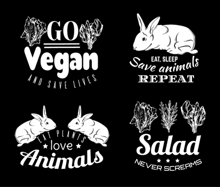 Vector set of quote typographical background for vegan. Hand drawn illustration of cute rabbit and sketches of salad.  Template for card, poster, banner, print for t-shirt.のイラスト素材