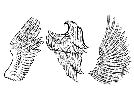 Vector hand drawn illustration of different wings. Template for card, poster, banner, print for t-shirt.のイラスト素材