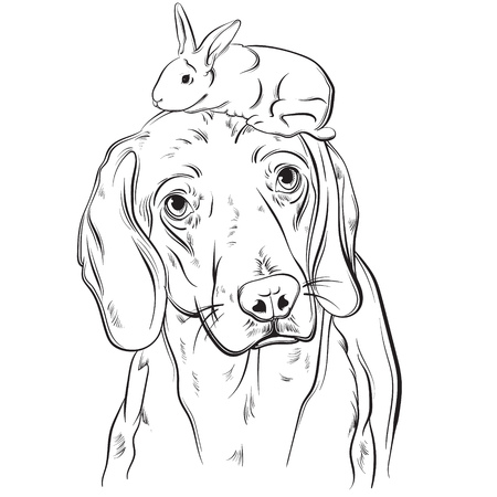 Vector hand drawn realistic illustration of beagle with rabbit. Portrait of sad dog with sorry eyes. Template for card poster banner and print for t-shirt.のイラスト素材