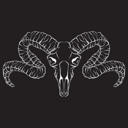 Vector hand drawn illustration. Artwork with skull of ram.  Alchemy, religion, spirituality, occultism, tattoo art. Template for postcard, banner, poster, print for t-shirt.のイラスト素材