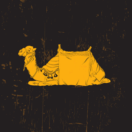 Vector illustration of camel. Hand drawn camel made in realistic line sketch style. Template for postcard poster banner and print for t-shirtのイラスト素材