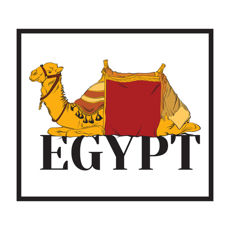 Vector hand drawn illustration of camel. Template for card, poster. banner, print for t-shirt, pin, badge, patch.のイラスト素材