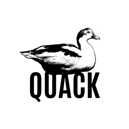 Quack. Vector poster with hand drawn illustration of duck isolated. Template for card, poster, banner, print for t-shirt, pin, badge, patch.のイラスト素材