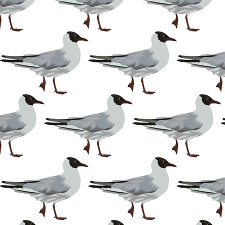 Vector pattern with hand drawn illustration of seagulls isolated. Creative artwork. Template for card, poster. banner, print for t-shirt, pin, badge, patch.のイラスト素材