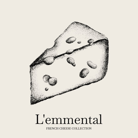 Vector hand drawn illustration of emmental cheese. Template for card, poster, banner, print for t-shirt.のイラスト素材