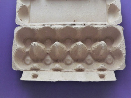 beige egg box empty on purple background. High quality photo