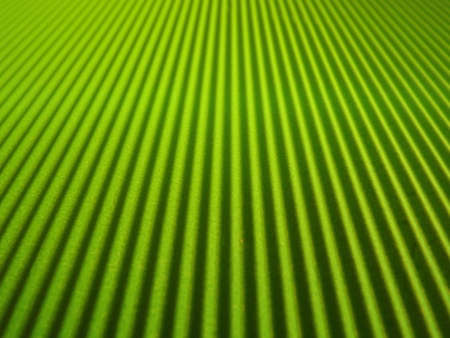 green background with longitudinal stripes as an abstraction. High quality photoの写真素材