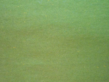 Green grassy plain colored paper surface as background. High quality photoの写真素材