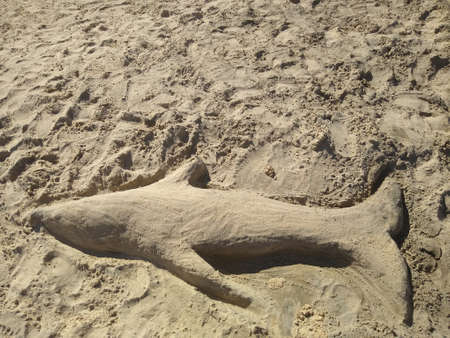 shark sculpture made of sand on the shore close-up. High quality photoの写真素材