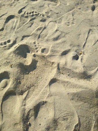 Sand on the beach with traces of people and animals. high quality photo