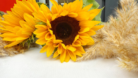 Sunflowers on a white wooden background. Sunflower bouquet.の写真素材