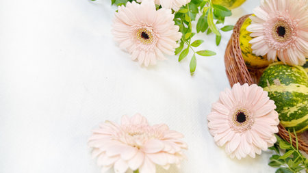 pink gerbera flowers and green pumpkin on a white backgroundの写真素材