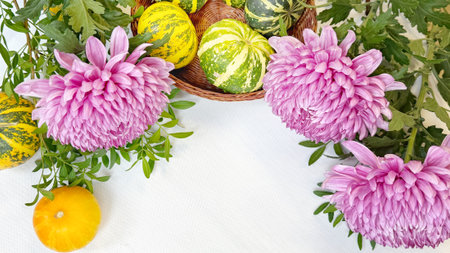 Autumn composition with pumpkins and flowers on a white background.の写真素材
