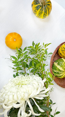 Autumn still life with pumpkins, flowers and green leaves on white backgroundの写真素材