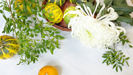 White chrysanthemum and yellow pumpkins on a white backgroundの写真素材