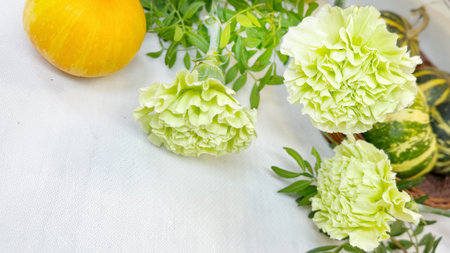 Decorative pumpkins and green flowers on a white tablecloth.の写真素材